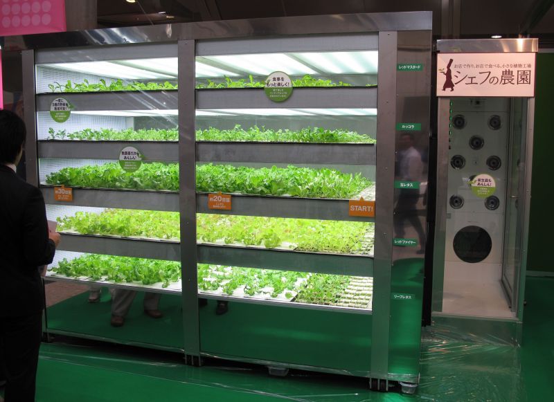 lettuce vending machine
